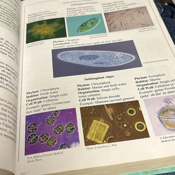 *Apologia Exploring Creation Biology 2nd Edition *Student Text*Solutions & Tests - Picture 5 of 9